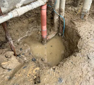 Outdoor Water Leak Detected and Repaired in Los Angeles, CA
