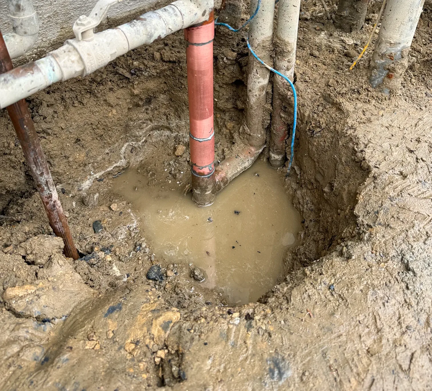 Outdoor Water Leak Detected and Repaired in Los Angeles, CA