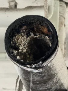 Sewer Line Clogged